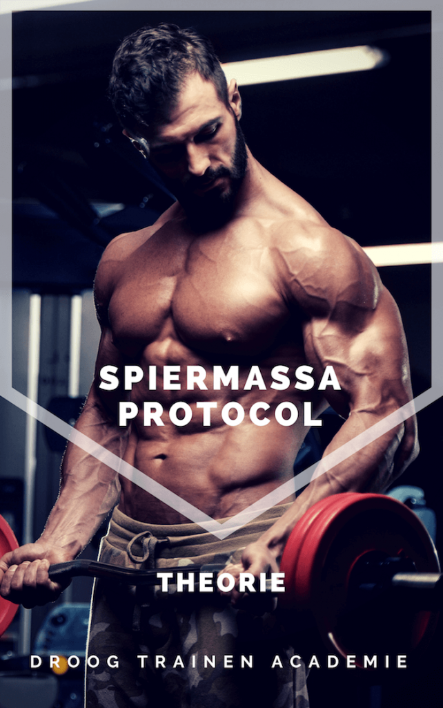 spiermassa protocol theorie boek