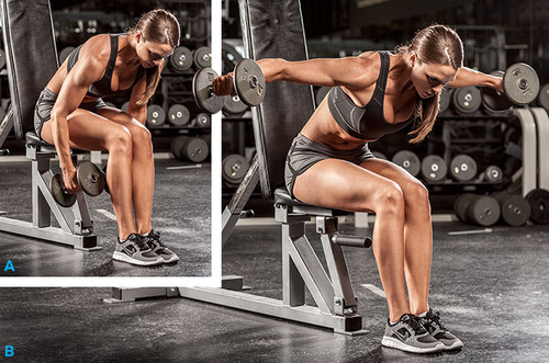 Bent over raise