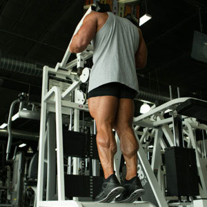 standing calf raise